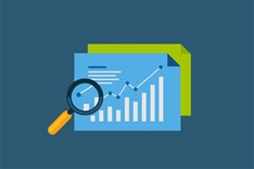 SEO Professional Certification Program