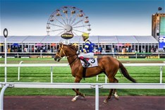 The Gauteng Summer Cup 2019